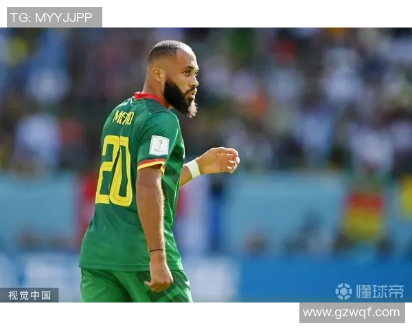 喀麦隆足球队代表球星有哪些他们的成就与影响力解析 喀麦隆足球队代表球星有哪些他们的成就与影响力解析